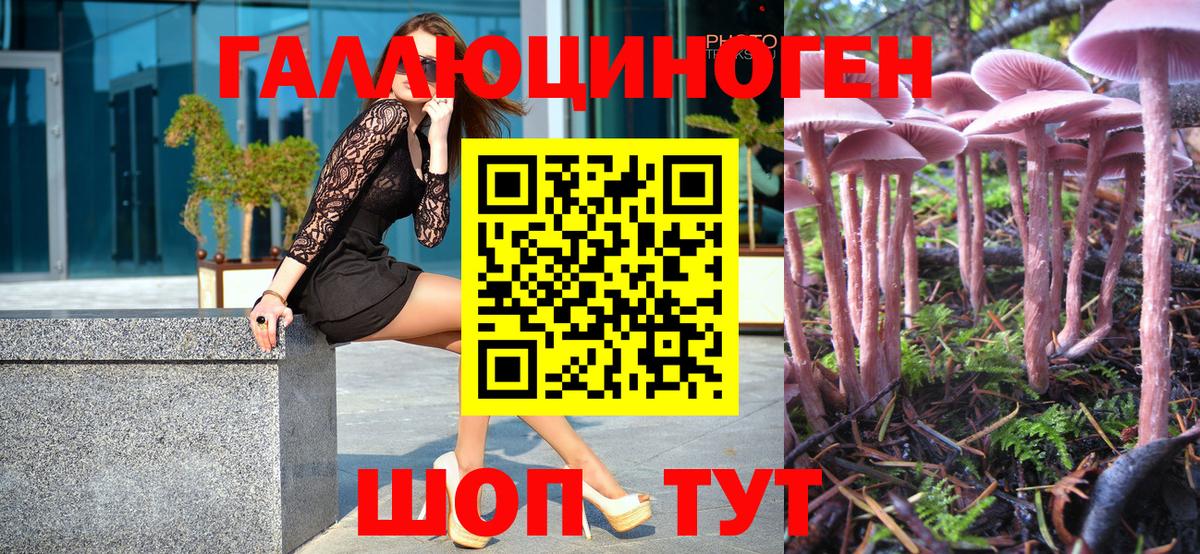Псилоцибиновые грибы Psilocybe  Вход с VPN  Семёнов 